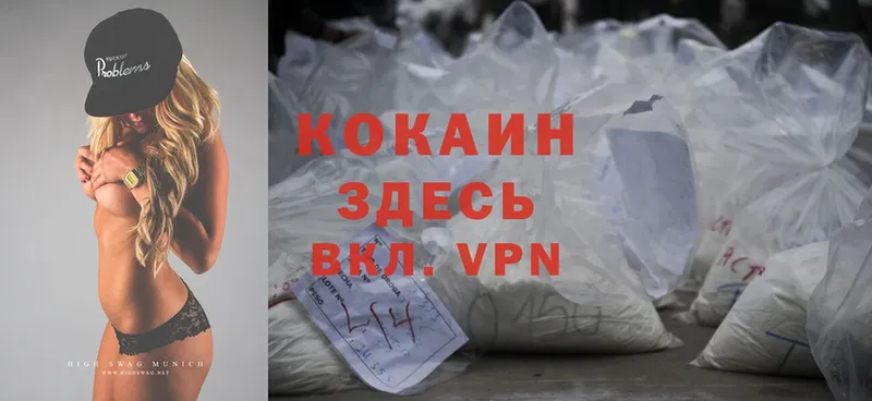 Cocaine Эквадор  купить закладку  Тогучин 